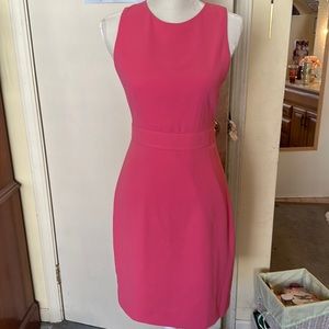 JCrew Factory Pink Sheath Dress New With Tags